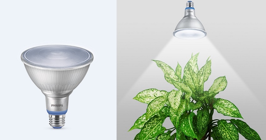 Philips-LED-Plant-Grow-Par38.jpg